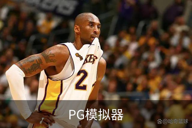 PG模拟器公司介绍